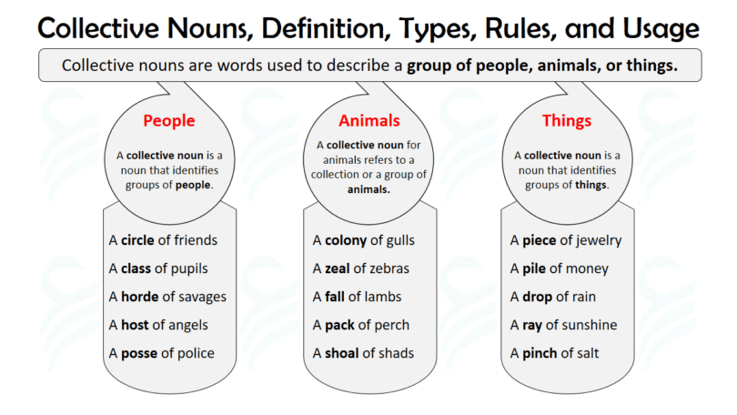 Collective Nouns Definition, Rules, Usage, and Helpful Examples