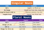 Singular and Plural Nouns Definition, Usage, and Examples