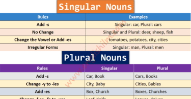 Singular and Plural Nouns Definition, Usage, and Examples