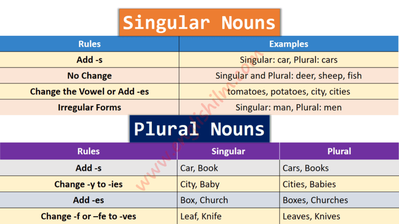 Singular and Plural Nouns Definition, Usage, and Examples