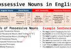 Possessive Nouns Definition, Rules, Usage, and Examples