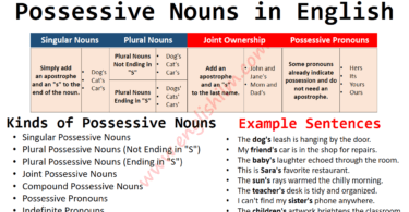 Possessive Nouns Definition, Rules, Usage, and Examples