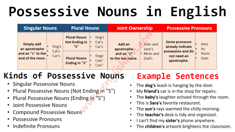 Possessive Nouns Definition, Rules, Usage, and Examples