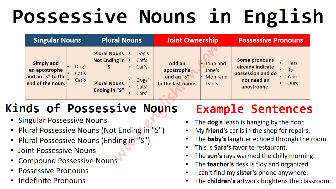 Possessive Nouns Definition, Rules, Usage, and Examples • Englishilm