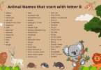 68 Animal Names That Start with the English Letter B