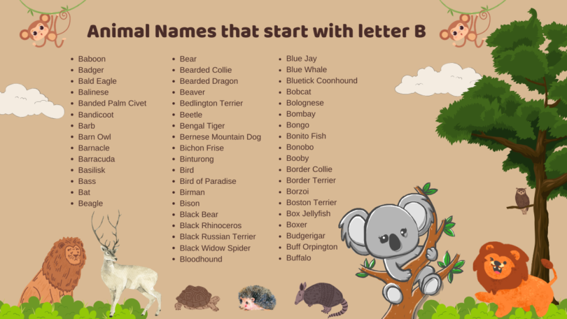 68 Animal Names That Start with the English Letter B