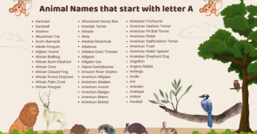 Animal Names that start with letter A