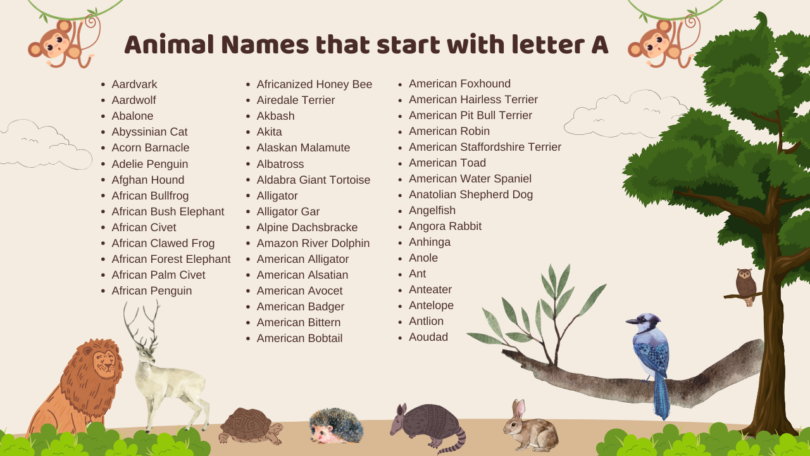 Animal Names that start with letter A