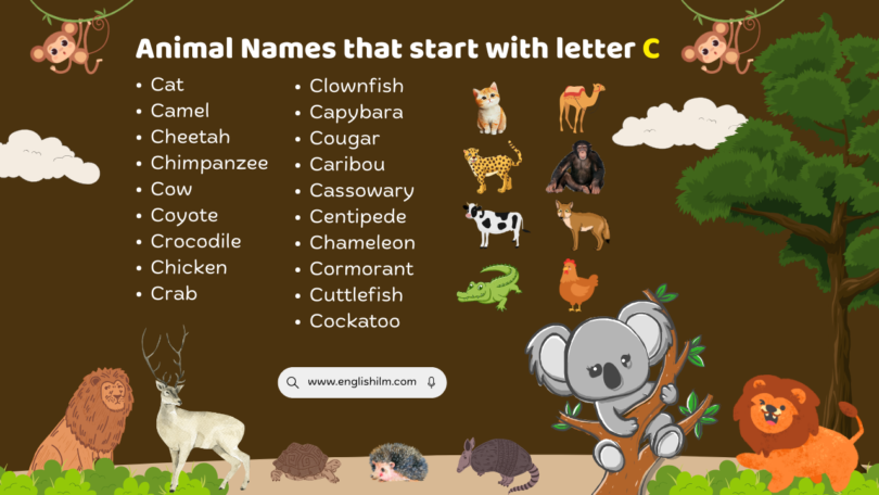 19 Animal Names That Start with English Letter C