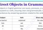 Direct Objects in English Grammar with Helpful Examples