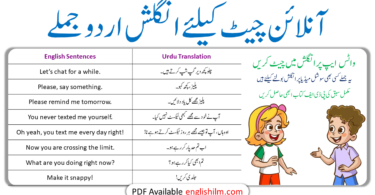 Online Chatting Sentences with Urdu or Hindi Translation