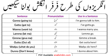 Speak English like a Native Speaker | Informal Contractions