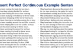 Present Perfect Continuous Tense Example Sentences in English