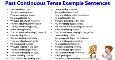 100 Past Continuous Tense Example Sentences in English