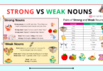 Strong vs. Weak Nouns: A Simple Guide