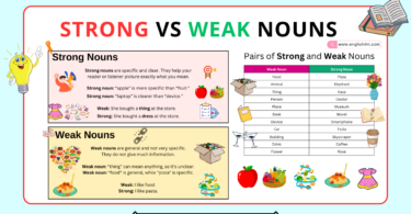 Strong vs. Weak Nouns: A Simple Guide