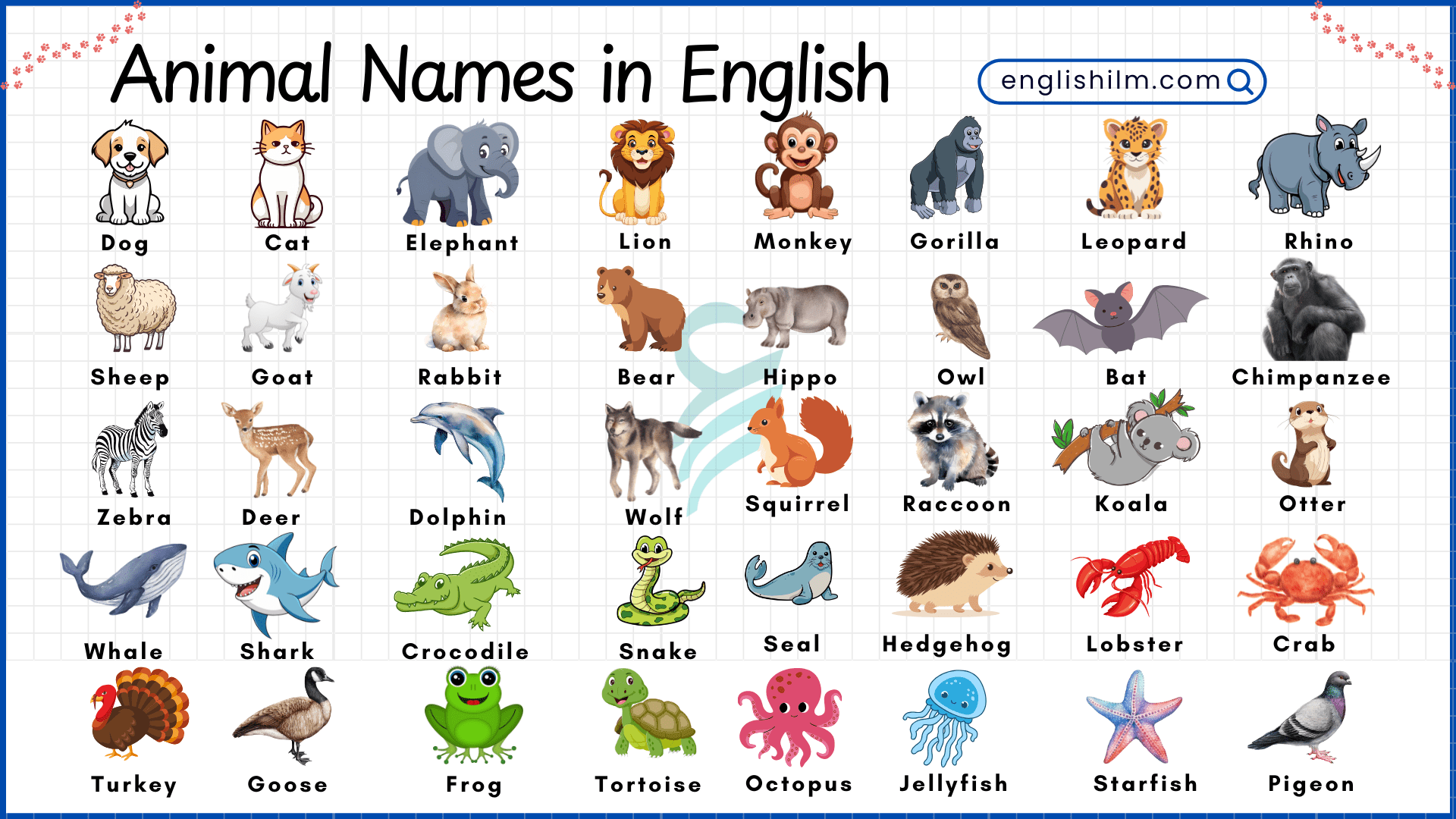 Animal Names in English with Pictures and Information