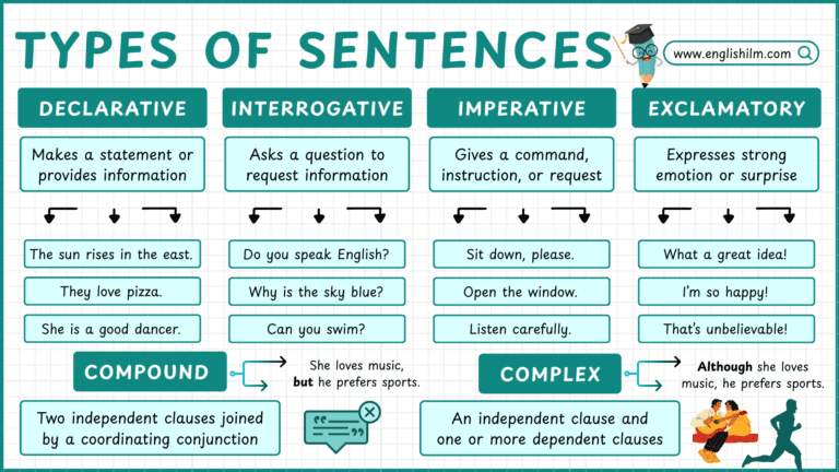 Types of Sentences in English with Examples and Exercises