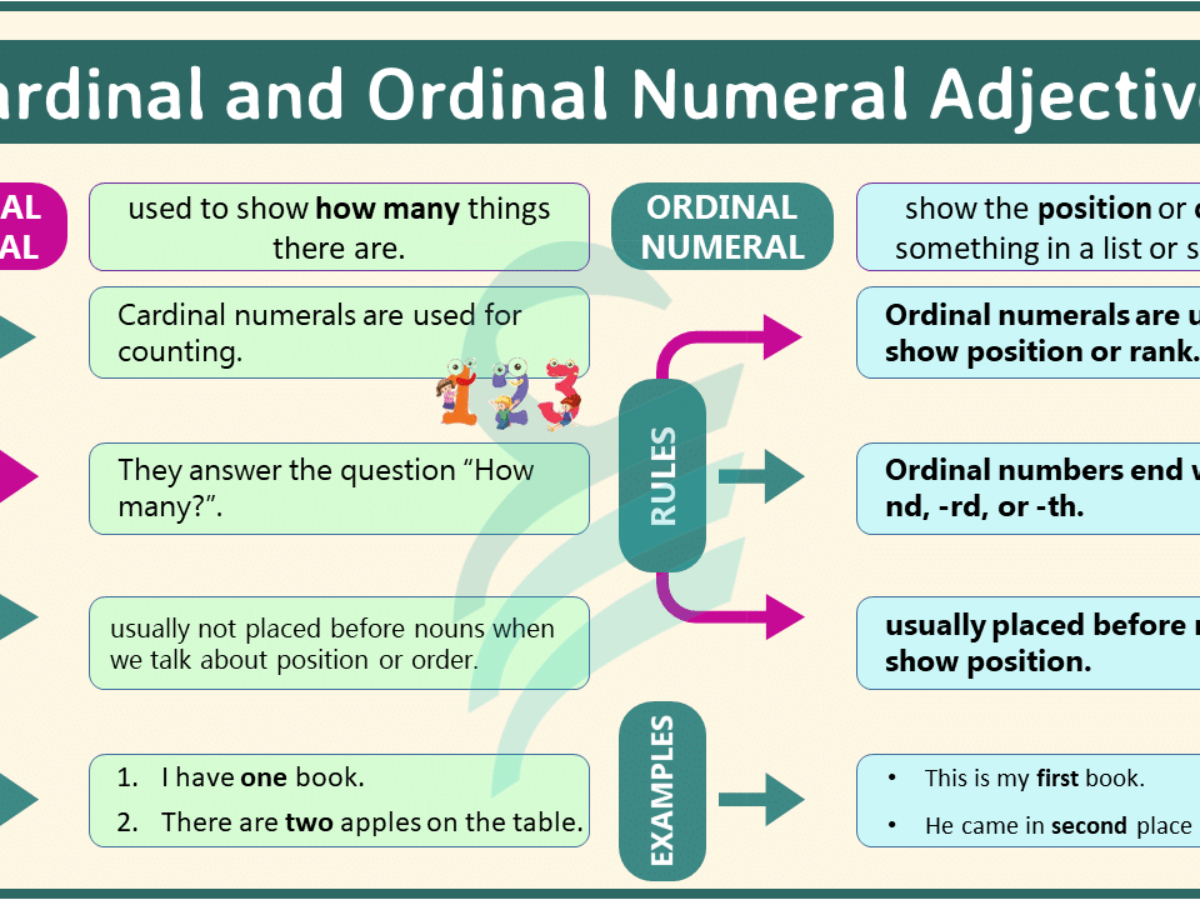 Cardinal Numbers Examples Sentences