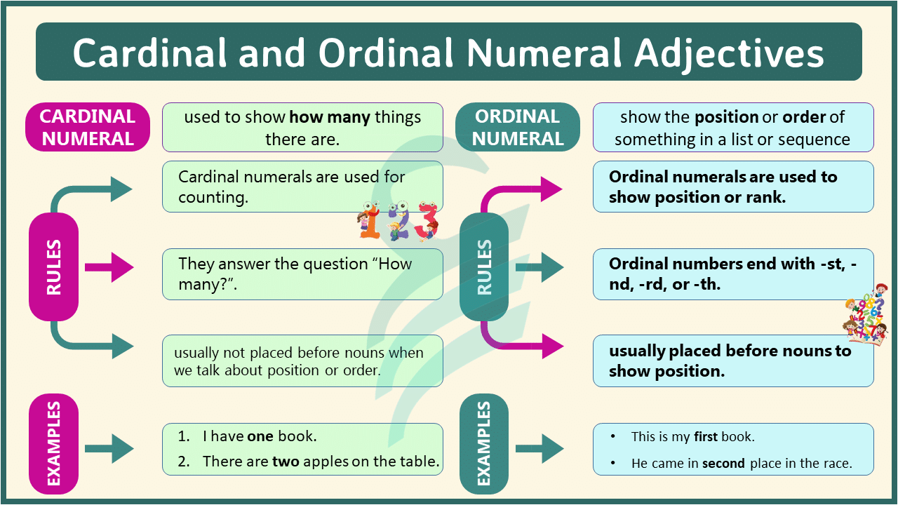 Cardinal and Ordinal Numeral Adjectives: What's the Difference?