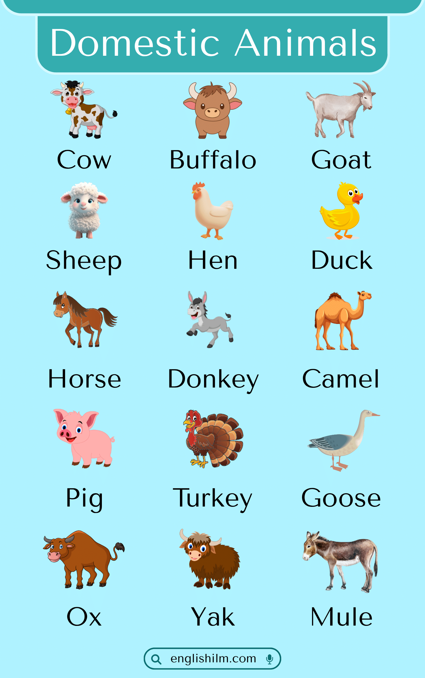 Domestic Animals Name in English with Pictures