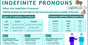 Indefinite Pronouns Types, Rules, and Examples in English