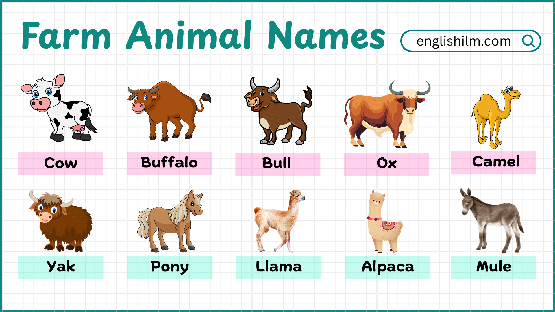 Farm Animals Name with Pictures