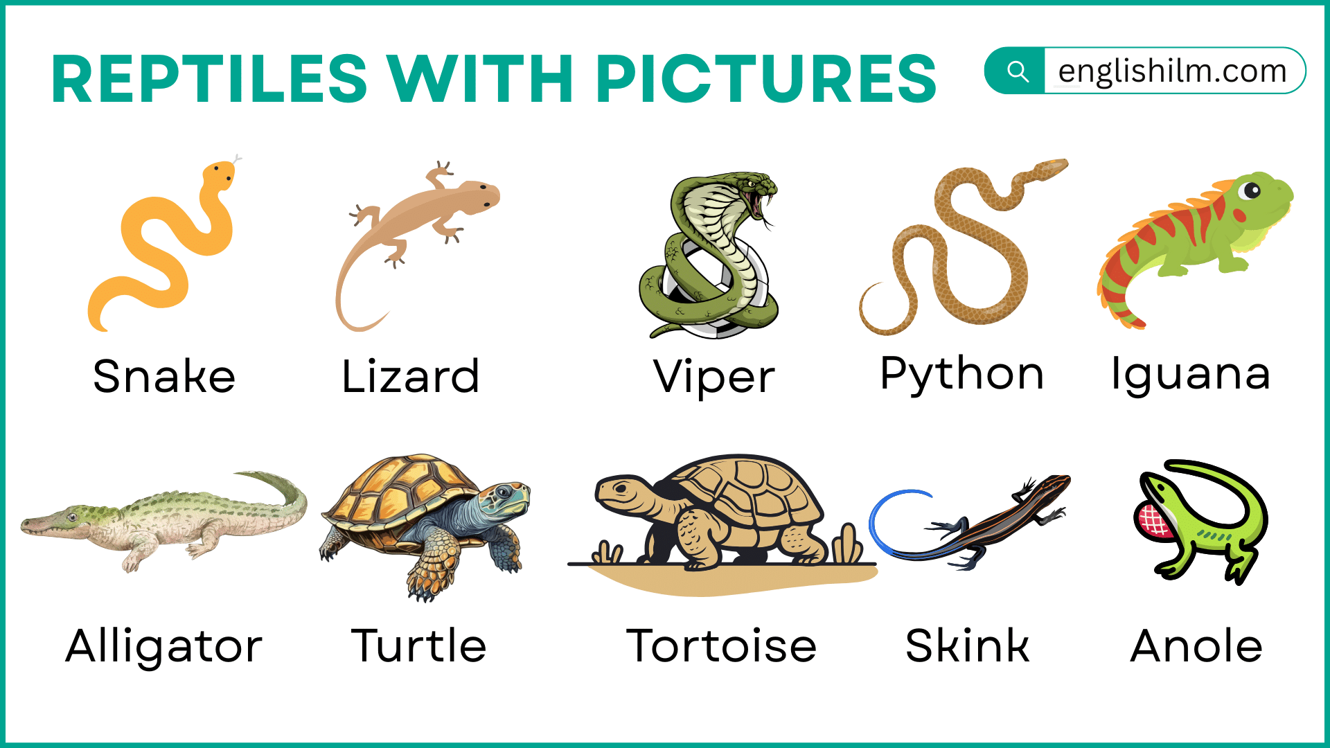 Reptiles with Names and Their Pictures